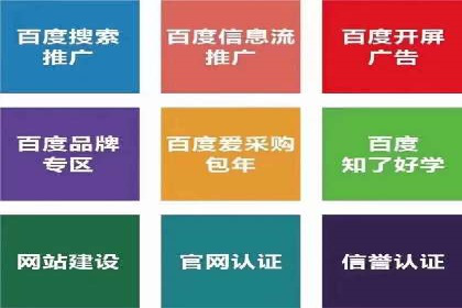 竞价托管服务对比：不同平台的优劣分析