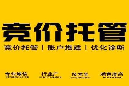 竞价排名策略案例：广告效果最大化技巧